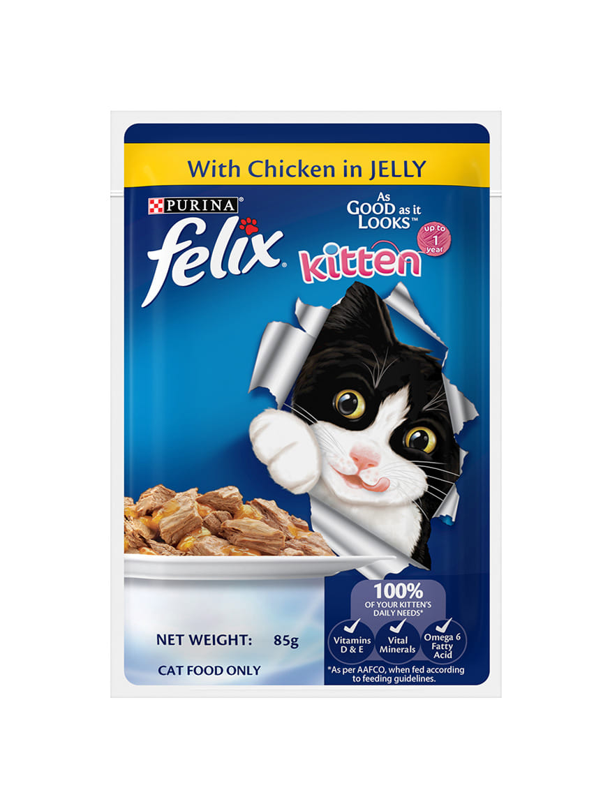 Wet Food For Kitten – thumbnail 7