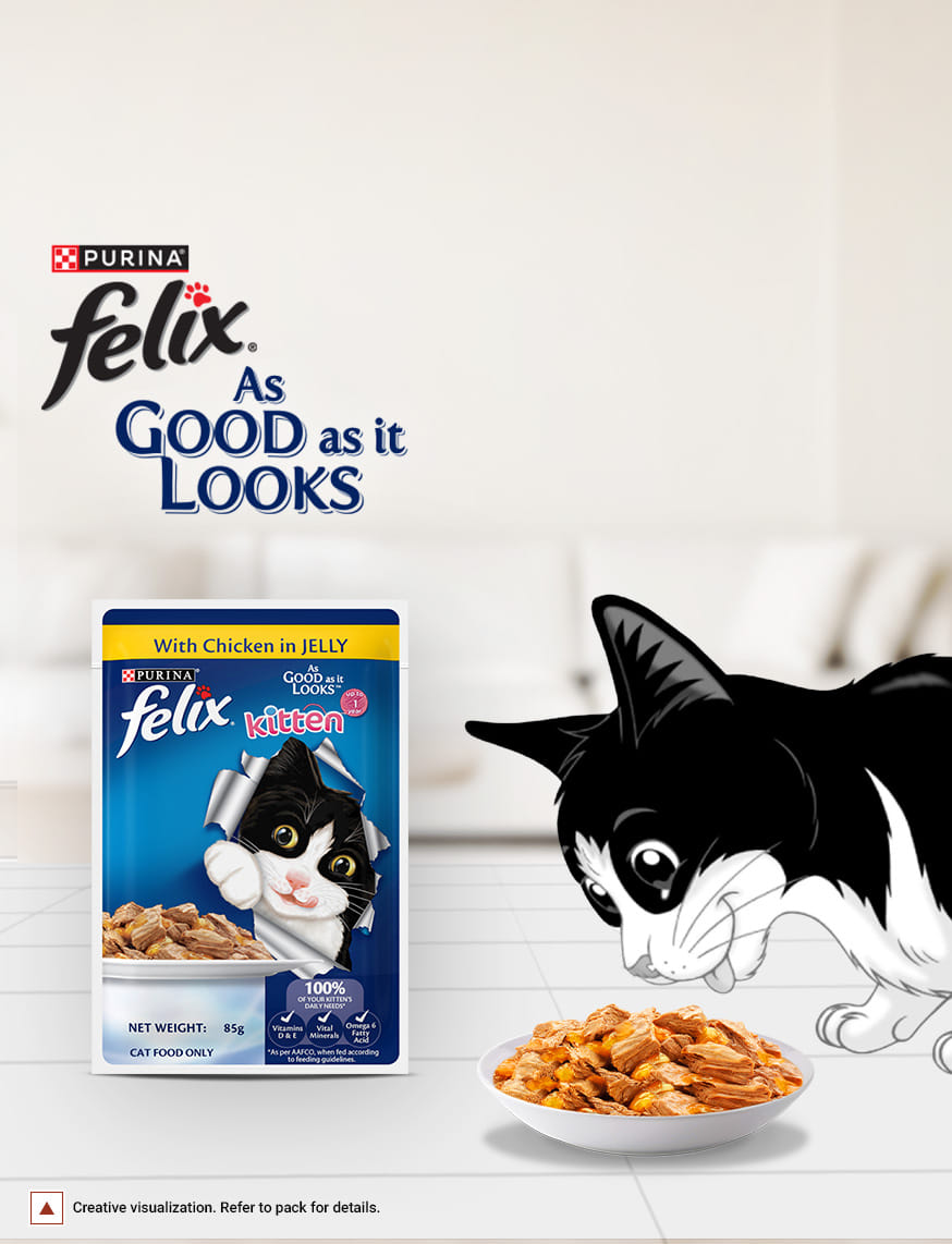 Wet Food For Kitten – thumbnail 2