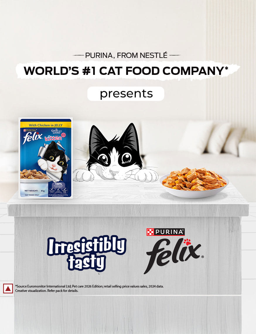 Wet Food For Kitten – thumbnail 6
