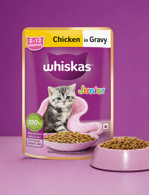 Chicken In Gravy (2-12 Months) Chicken In Gravy (2-12 Months)