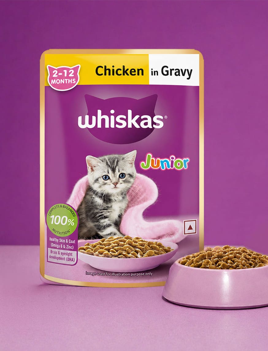 Chicken In Gravy (2-12 Months)