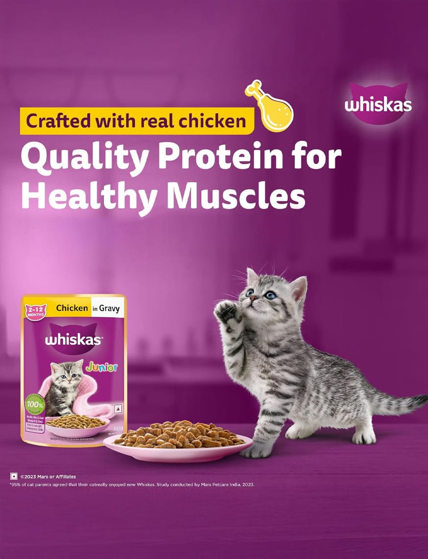 Chicken In Gravy (2-12 Months) – thumbnail 3