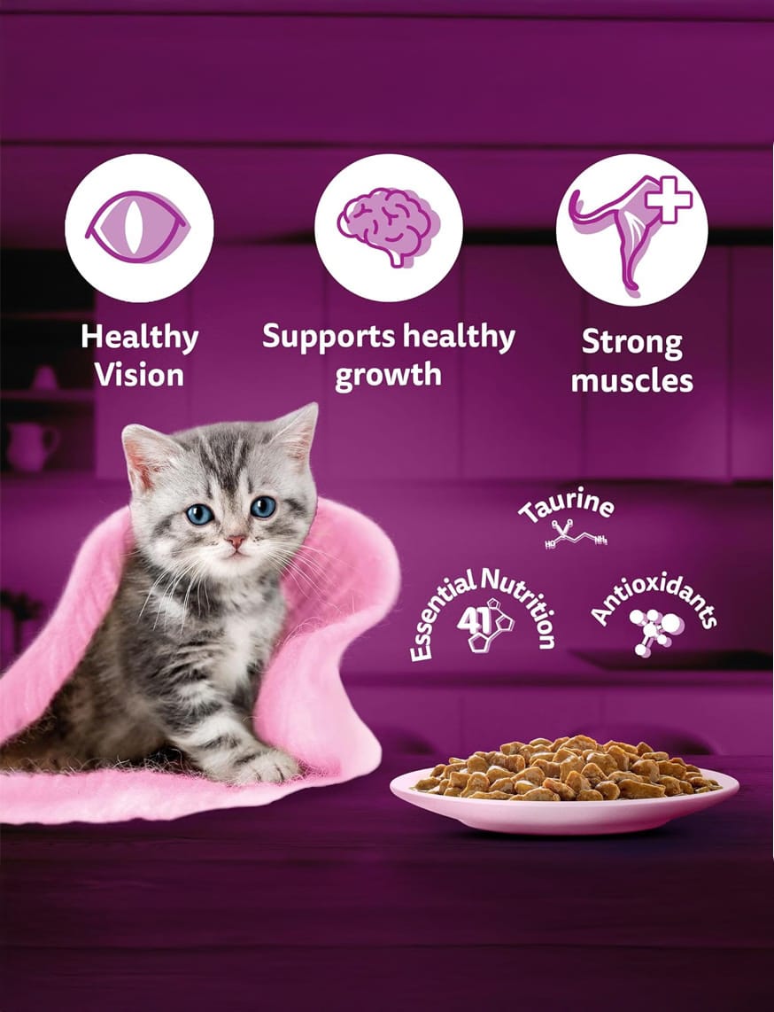 Chicken In Gravy (2-12 Months) – thumbnail 4
