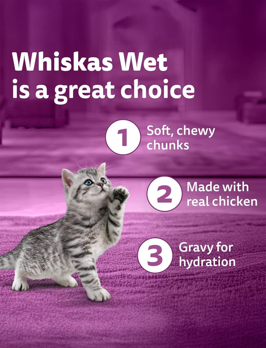 Chicken In Gravy (2-12 Months) – thumbnail 8