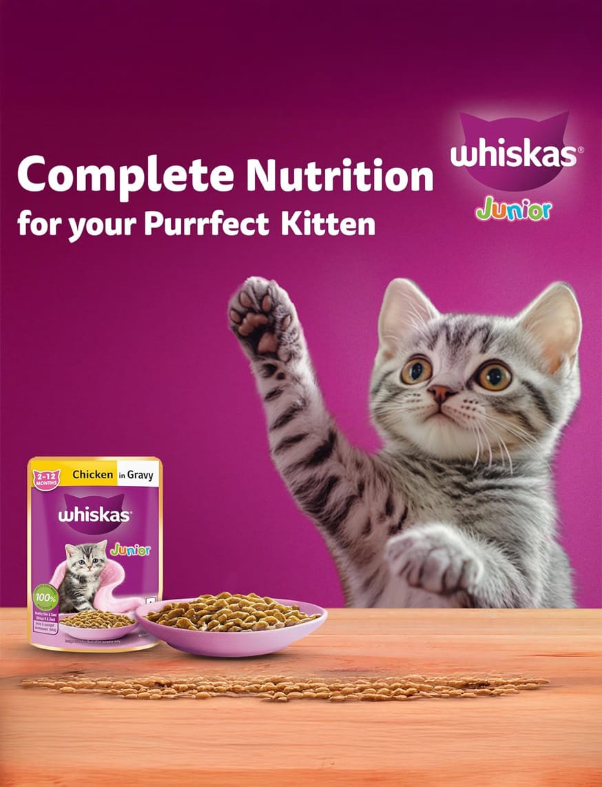 Chicken In Gravy (2-12 Months) – thumbnail 9