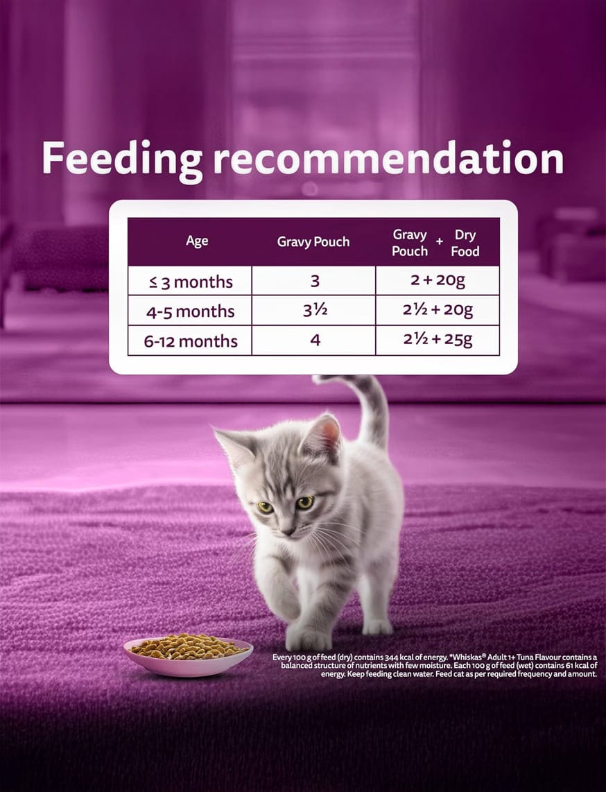 Chicken In Gravy (2-12 Months) – thumbnail 10