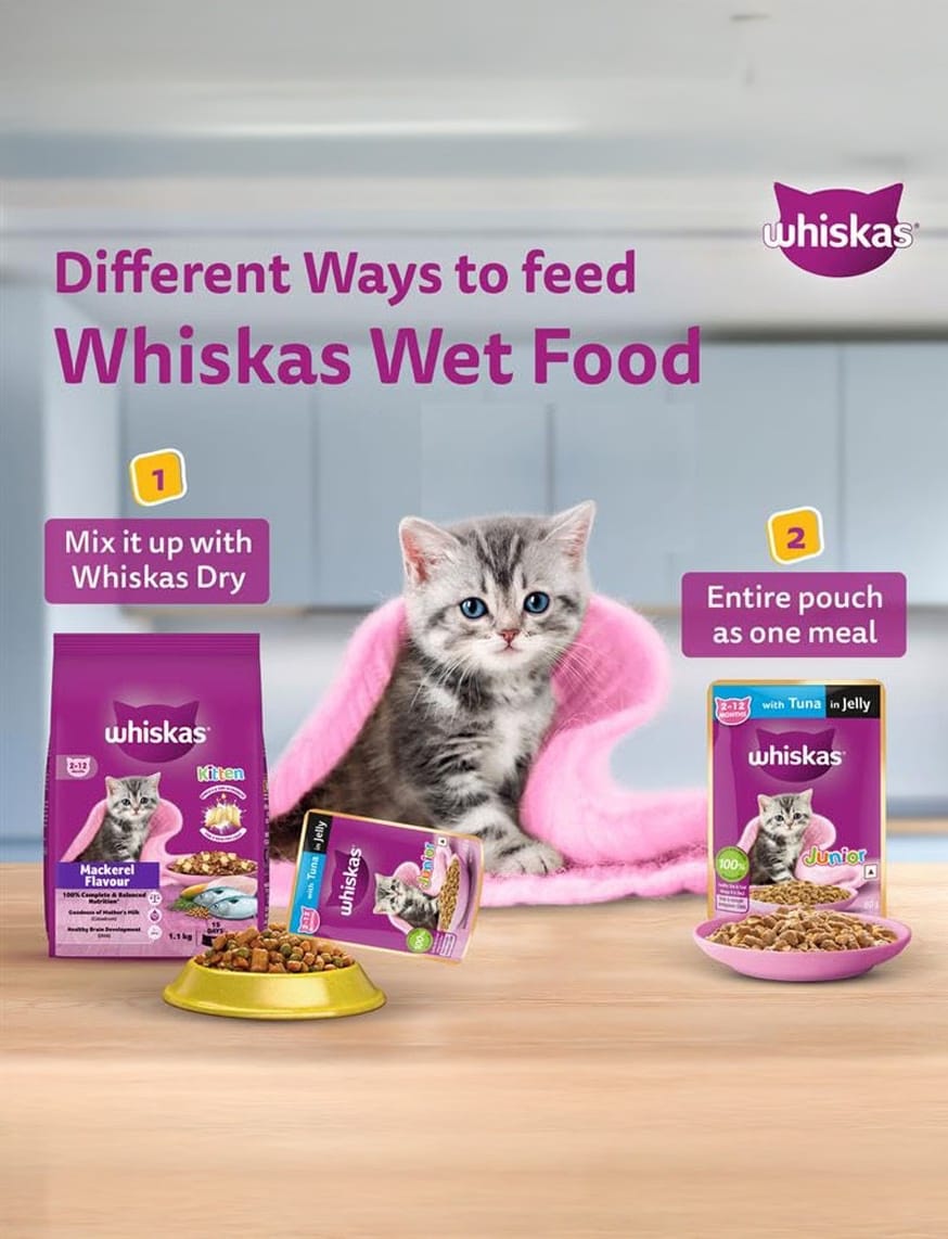 Chicken In Gravy (2-12 Months) – thumbnail 11