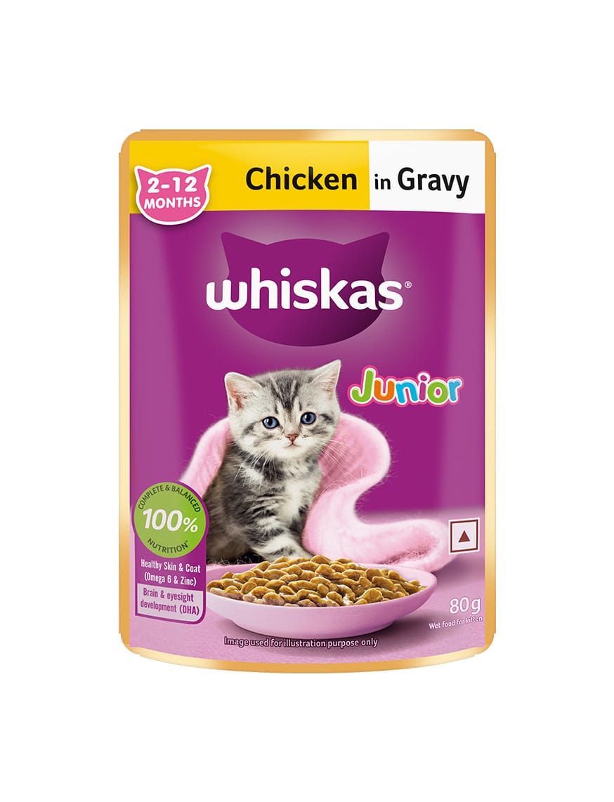Chicken In Gravy (2-12 Months) – thumbnail 13