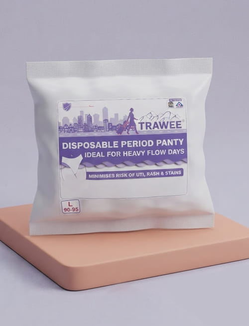 Disposable Period Panty - L