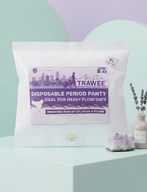 Disposable Period Panty - XL