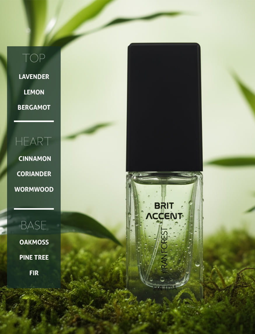 Rain Forest EDP – thumbnail 3
